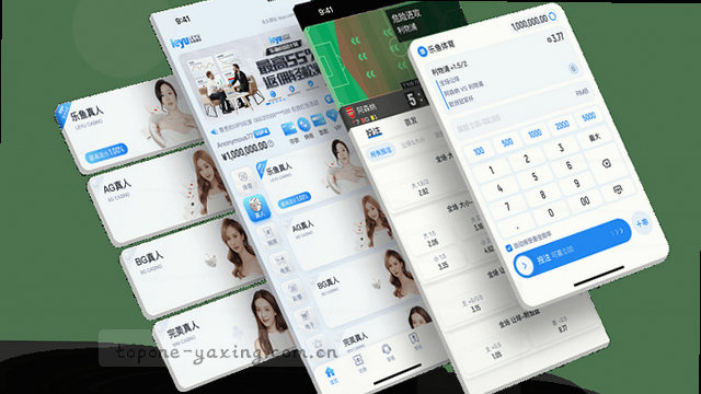 标题：检查反馈准备